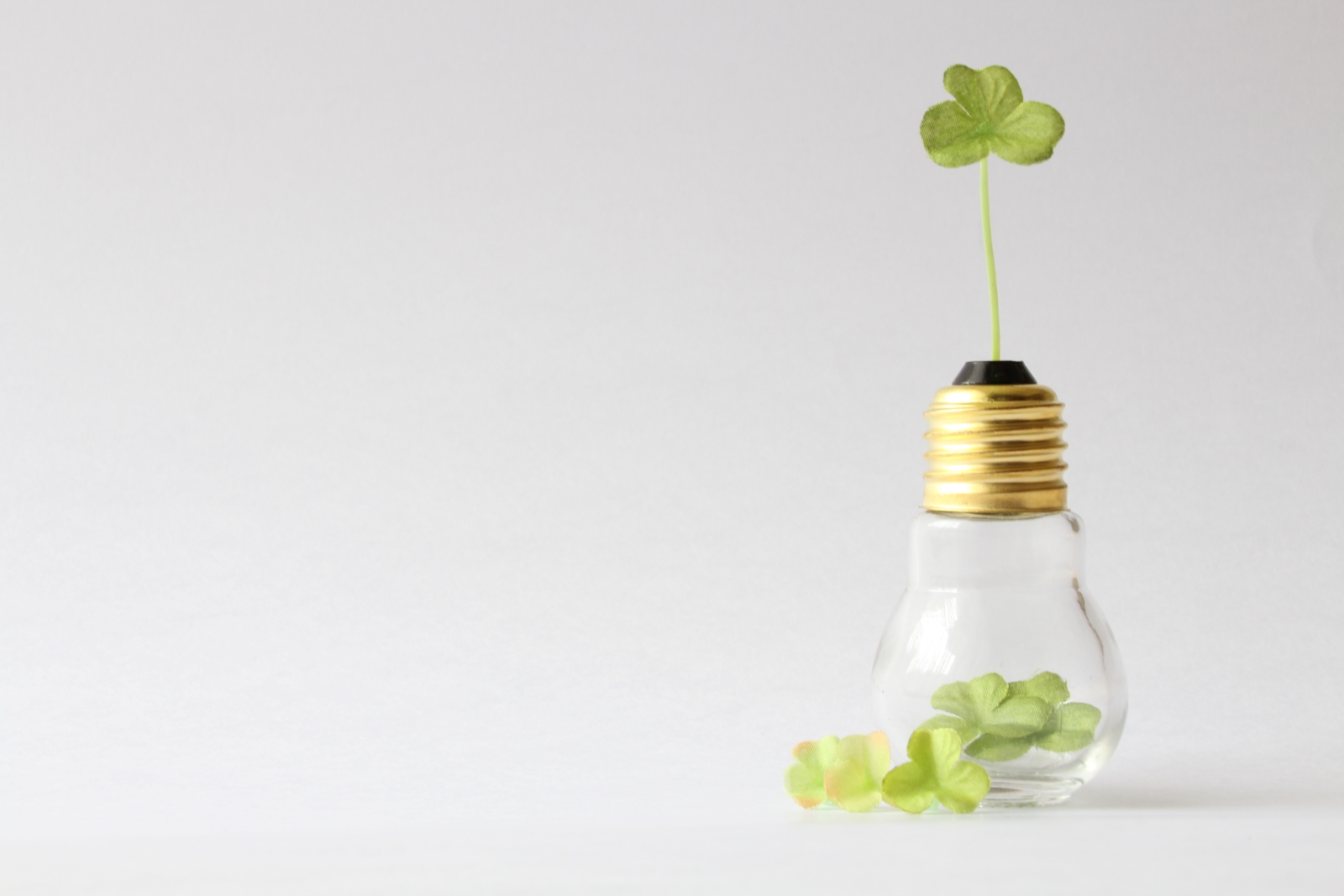 POWER GUARD販売・施工